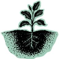Floragrowth1