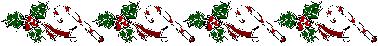 Christmas Holly