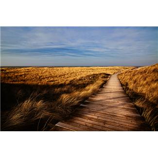 footpath