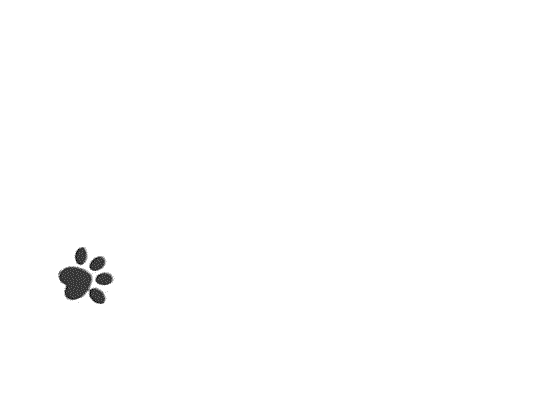 Paws Animated